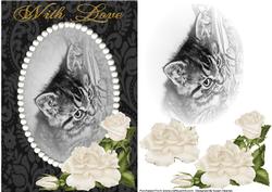 Sweet Little Kitten 2