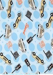 Fast Cars Paper