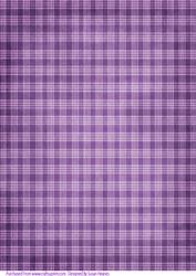 Winter Purple Plaid 3