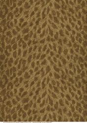 Animal Fur Paper 2