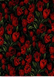 Poppies Paper