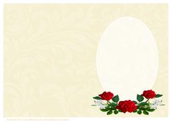 Cream Swirls and Red Roses Insert