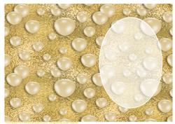Gold Anniversary Insert