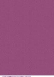 Aubergine Paper 2