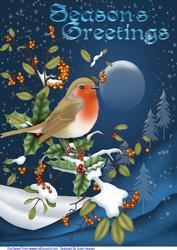 A4 Robin on a Winters Night