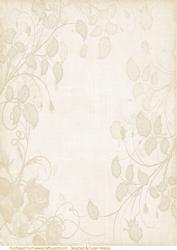 Cream Embossed Roses Paper
