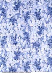 Winter Paper 5