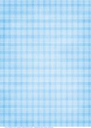 Baby Blue Plaid Paper 2