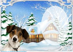 Time for Man's Best Friend at Christmas Insert