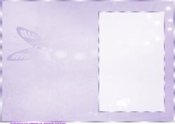 Purple Butterfly, Floral Insert, with Borders