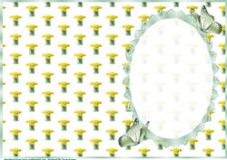A Vase of Daffodils Insert