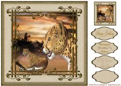 The Perfect Pair - Safari Collection