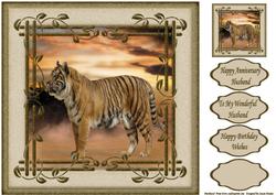 The Regal Tiger - Safari Collection