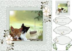 Kittens by the Riverside