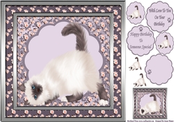 Sweet Little Cleo