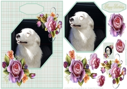 Gorgeous Tilly - Lovable Pet Collection