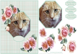 Gorgeous Charlie - Lovable Pet Collection