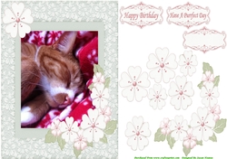 Sleeping Tiggi