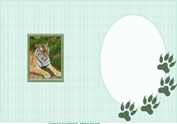 The Tiger Of Dartmoor Zoo Insert