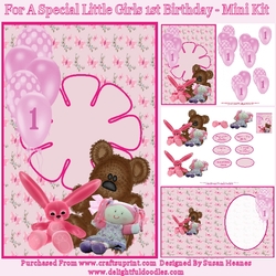 For A Special Little Girls 1st Birthday - Mini Kit