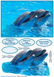 Playful Dolphins