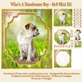 Whos A Handsome Boy - 8x8 Mini Kit