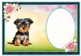 What A Sweet Little Dog - Insert