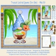 Tropical Cocktail Gnome (For Him) - Mini Kit