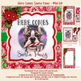Here Comes Santa Paws - Mini Kit