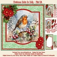 Christmas Robin On Holly - Mini Kit