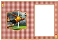 Match Of The Day - Insert
