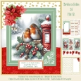Christmas Robins - 5x7 Mini Kit