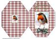 Red Red Robin Octagon Card 2