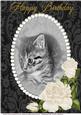 A4 Sweet Little Kitten 3