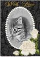 A4 Sweet Little Kitten 4