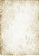 Cream- Sepia Embossed Roses Paper 2