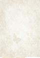 Cream Floral, Butterfly Paper