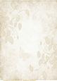 Cream Floral, Butterfly Paper 2
