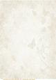 Cream Floral, Butterfly Paper 3