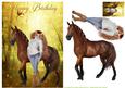 I Love My Horse