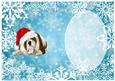 Have a Barking Christmas Insert