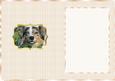 Gorgeous Koda Insert 2