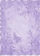 Purple Floral, Butterfly Paper, with Border