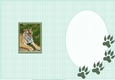 The Tiger Of Dartmoor Zoo Insert