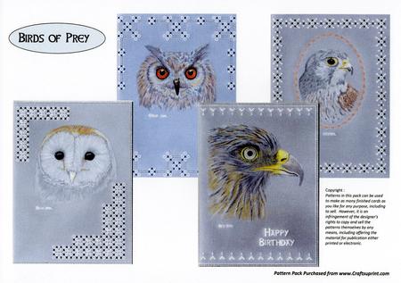 Birds of Prey Pattern Pack