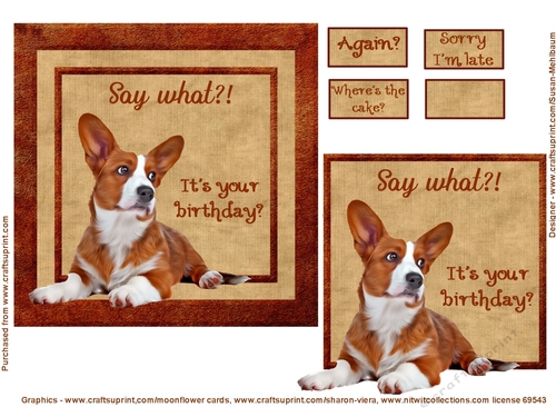 Say What birthday topper