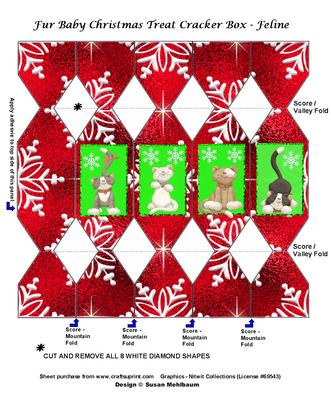 Fur Baby Christmas Cracker Treat Box - Feline