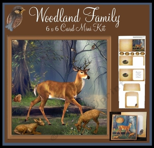 Woodland Family 6 x 6 Card and Envelope Mini Kit