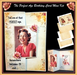 The Perfect Age Birthday Card Mini Kit