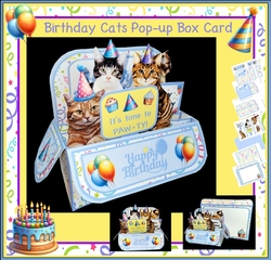 Birthday Cats Rectangle Pop up Box Mini KIt
